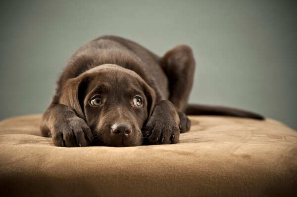 iStock-98378798