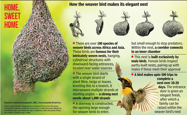 Graphic-1