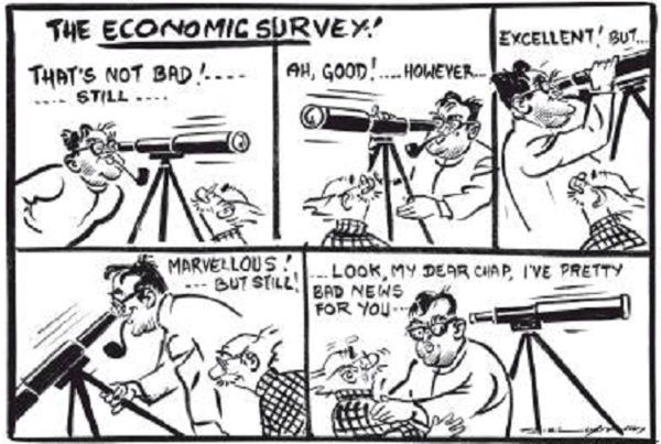 Survey