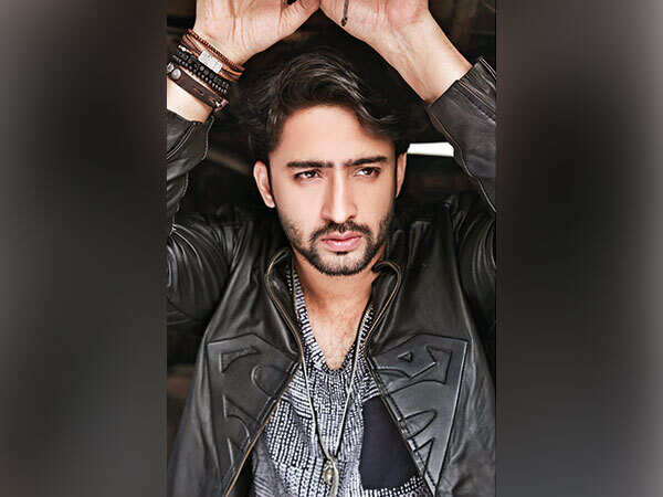 Shaheer Sheikh