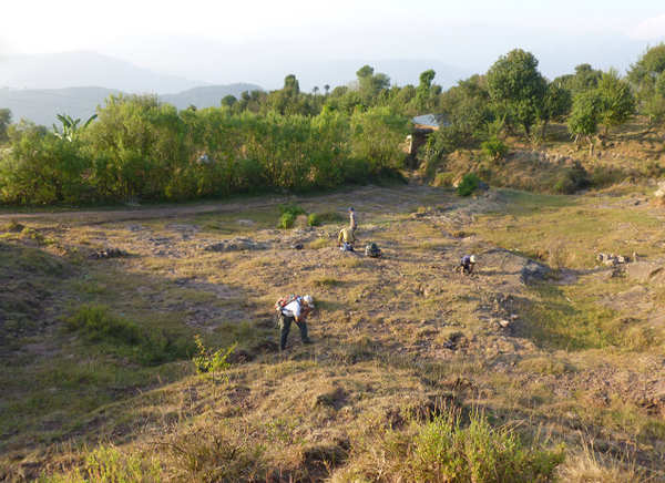 13-million-yr-old tooth found in J&K hills leads to discovery of new ...