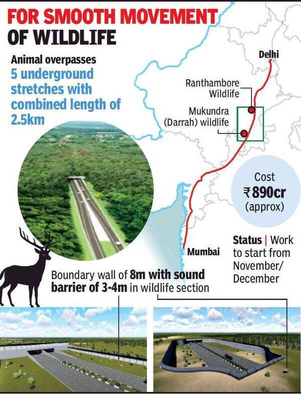 Delhi-Mumbai e-way to have India's 1st 5 'animal bridges' | India News - Times of India Delhi-Mumbai e-way to have India's 1st 5 'animal bridges' | India News - Times of India