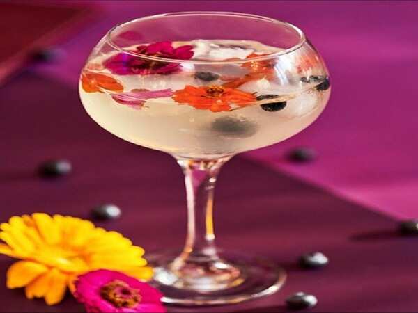 Blueberry and Elderflower Spritzer (1)
