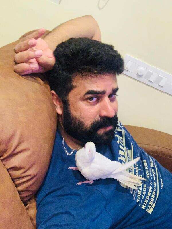 Vijay babu