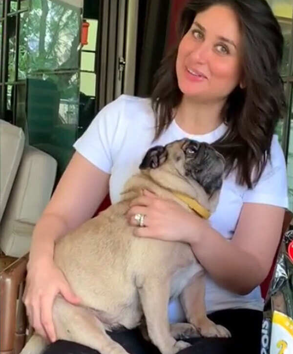 kareena-leo-pug