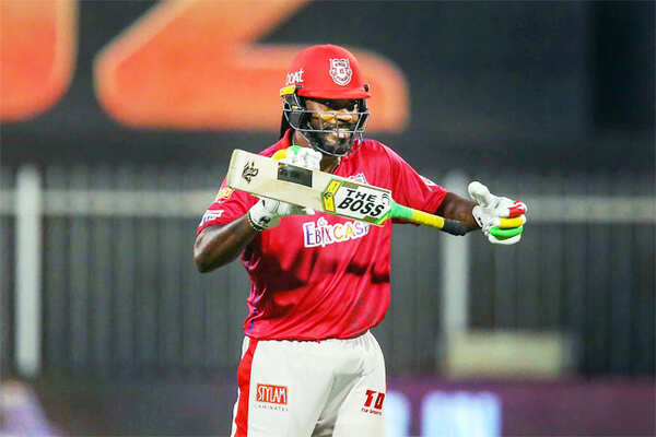 Gayle-Embed-3010-
