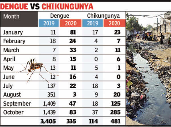 chikungunya gfx