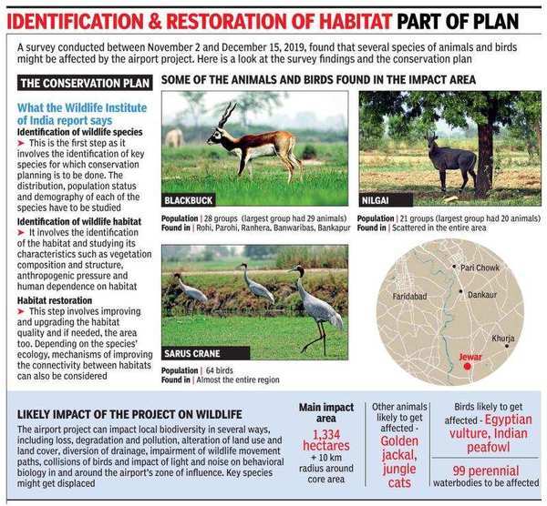 To protect blackbucks and Sarus cranes, WII to release conservation report  for Jewar airport | Noida News - Times of India