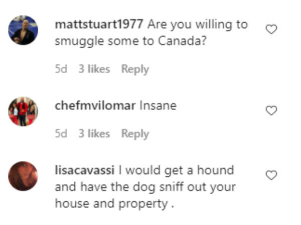 This Hidden 1968 Whiskey Whispered Truths Only the Boldest Will Uncover