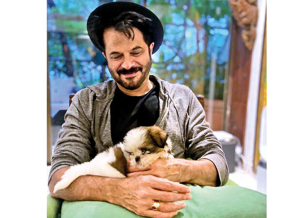 P1-Anil-Kapoor embed