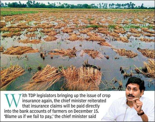 Andhra Pradesh CM Counters Claims On Crop Insurance, Housing Scheme ...