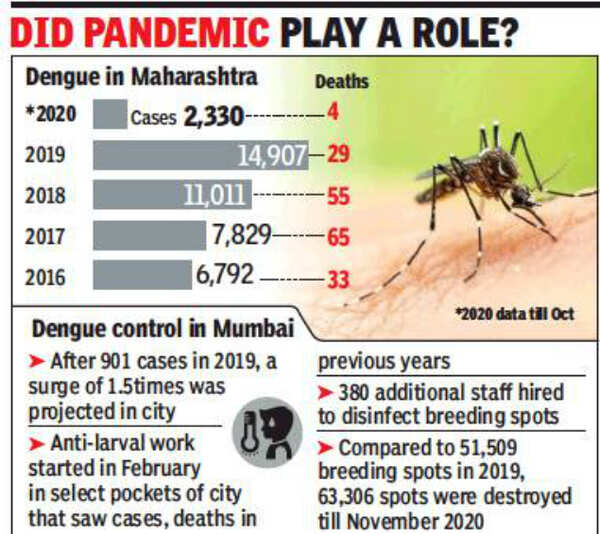 Sharp fall in dengue cases, Maharashtra sees 84% drop compared to 2019 ...
