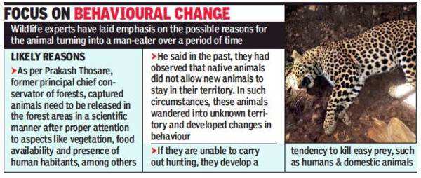 Post-mortem rules out deformity in ‘man-eater’ leopard: Forest ...