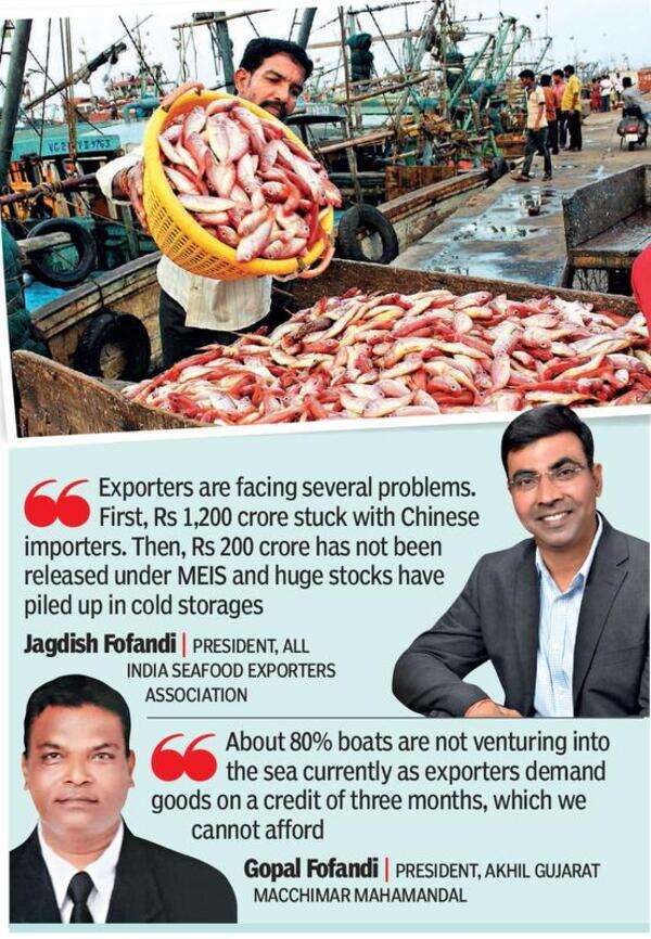 Seafood exporters in soup as payments held up in China Ahmedabad News
