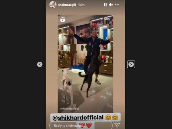 Shehnaaz