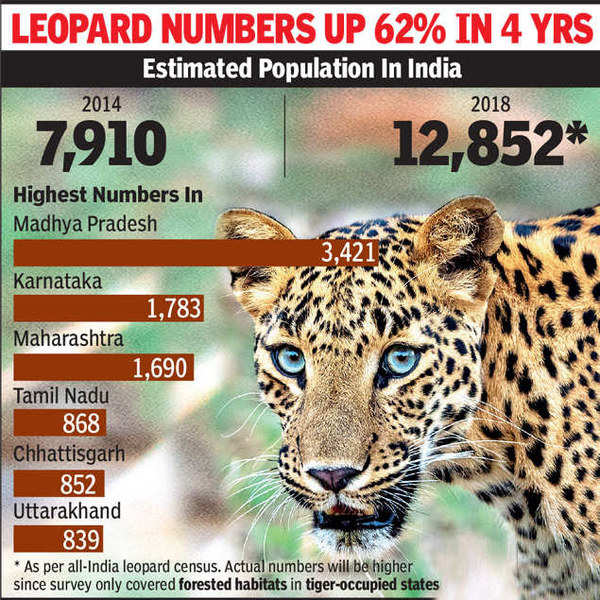 india-to-be-a-co-chair-of-regional-forum-to-conserve-wildlife-habitats