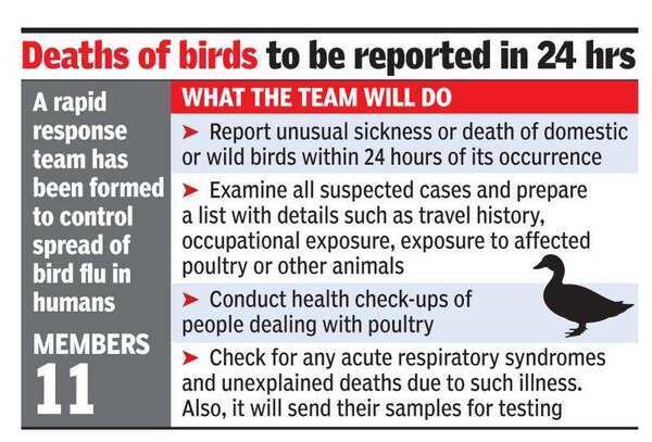 Haryana: Covid fight on, now team set up to track symptoms of bird flu infection | Gurgaon News - Times of India Haryana: Covid fight on, now team set up to track symptoms of bird flu infection | Gurgaon News - Times of India