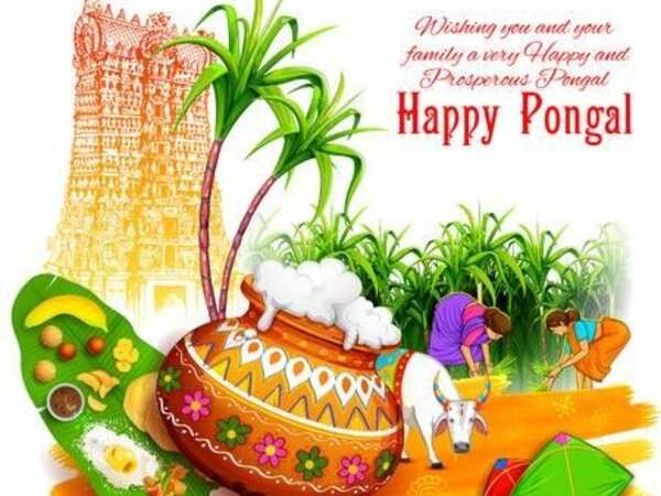 Happy Pongal Quotes