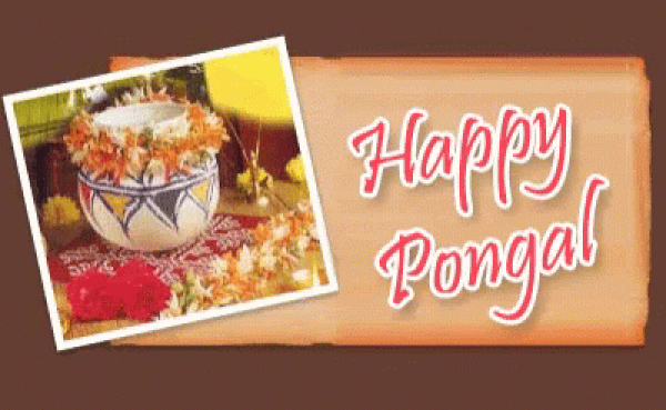 Happy Pongal Messages