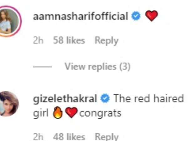 aamna aamir