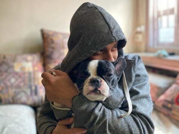anindya pet