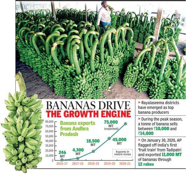 Andhra Pradesh emerges as the top banana exporter in country