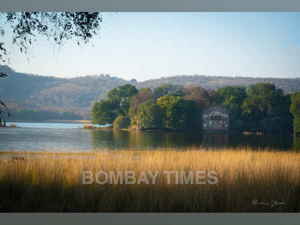 Randeep Hooda visited the Ranthambore National Park recently