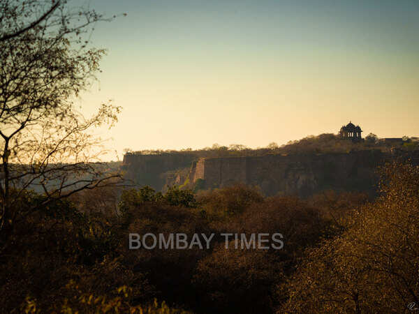 Randeep Hooda travel blog