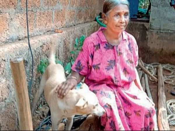 Karnataka: Dog survives night in a toilet with leopard | Mangaluru News -  Times of India