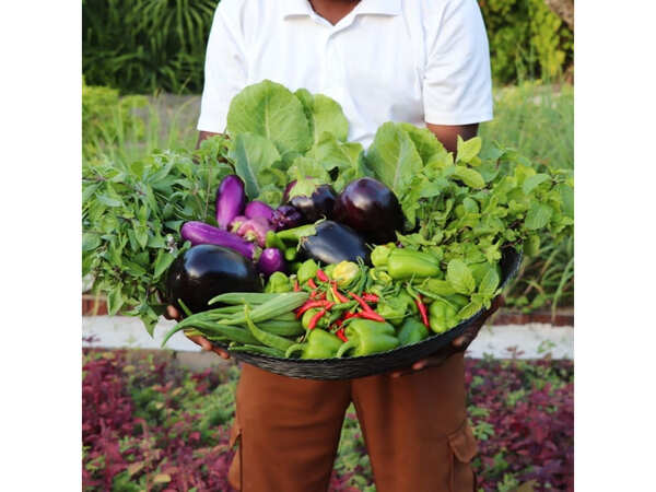 A sustainable dining experience for two in Maldives