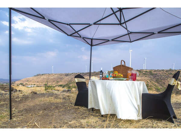 Wine amid Windmills in Phaltan, Maharashtra