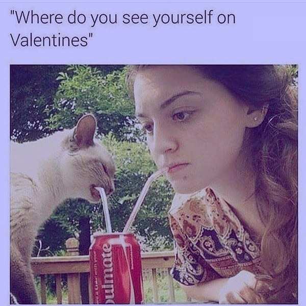 Happy Valentine's Day 2023 Memes, Wishes, Messages & Images: 25 funny memes,  wishes and messages about Valentine's Day that will make you laugh out loud  | - Times of India
