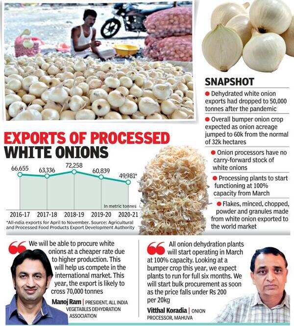 Gujarat Bumper onion crop to boost exports Ahmedabad News Times of