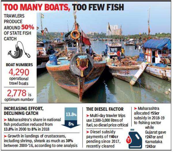 Rising costs, falling catch deflate Maharashtra trawl boom
