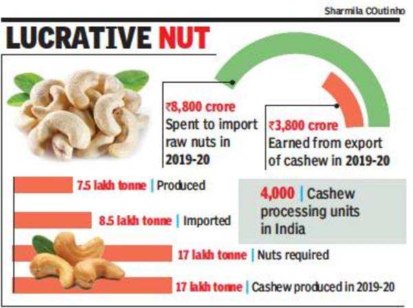 Cashew nut import clearance data