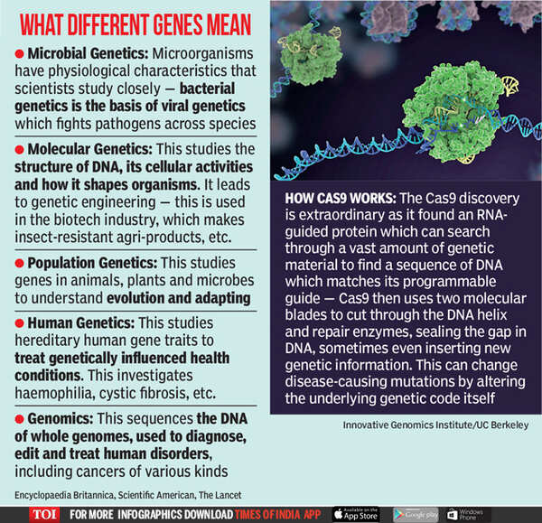 genes copy