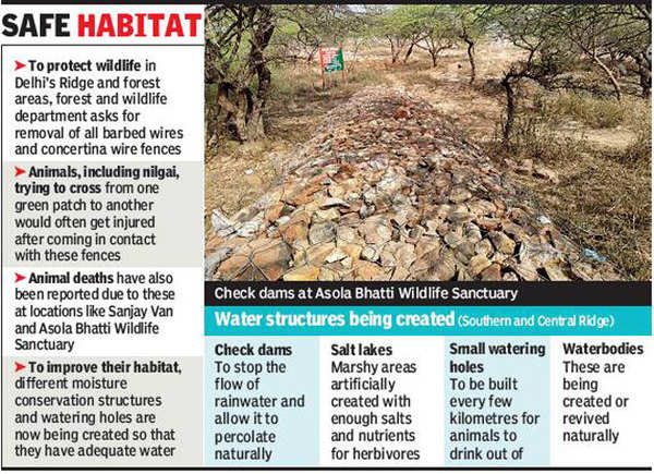 No more barb wires, forest department to make Delhi Ridge wildlife-friendly  | Delhi News - Times of India