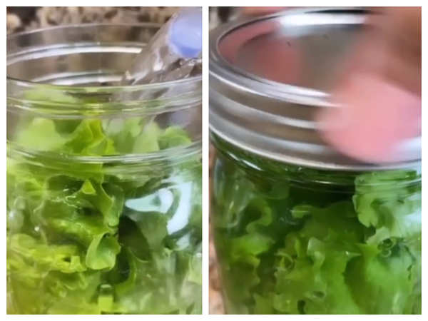 Lettuce Storage Hack for Crisp Leaves