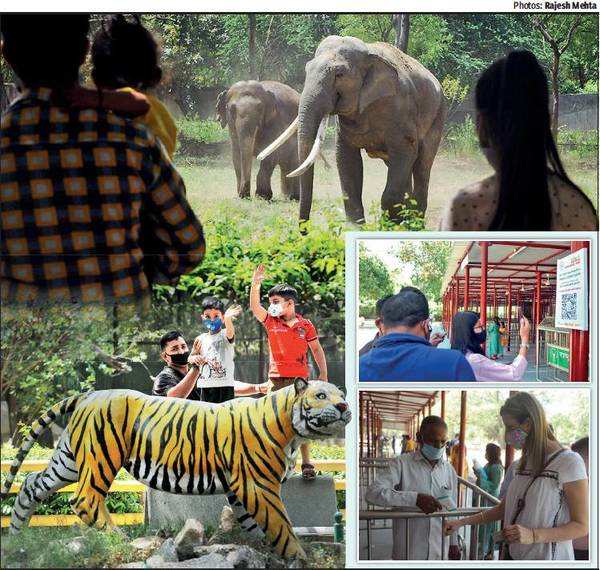 Under fresh Covid shadow, Delhi zoo opens doors to visitors | Delhi ...