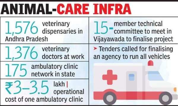 Andhra Pradesh plans ambulance network for animals | Visakhapatnam News -  Times of India