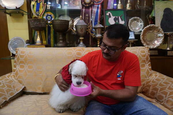 Americak Coccker with owner pallab by Anindya (2)
