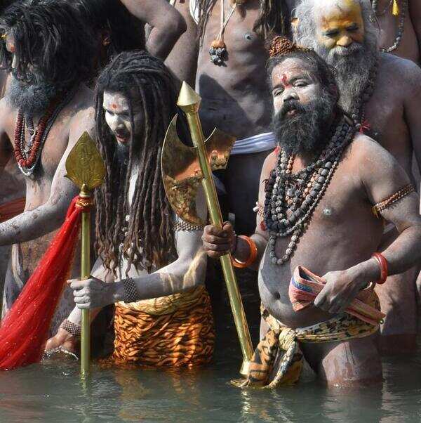 Sadhu1