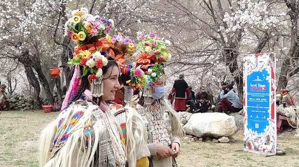 Ladakh apricot festival draws travellers from Maharashtra, Delhi | India  News - Times of India
