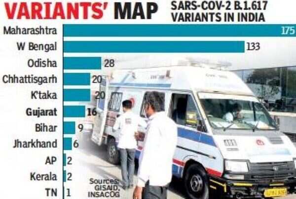 Covid double mutant has 16 variants in Gujarat: GISAID | Ahmedabad News ...