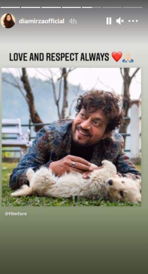 irrfan