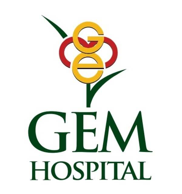 GEM Logo