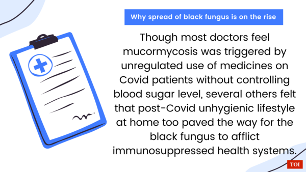 Green Illustrations and Iconography Event Reminder Healthcare Static Non-QR Code UPshow Announcement (10)