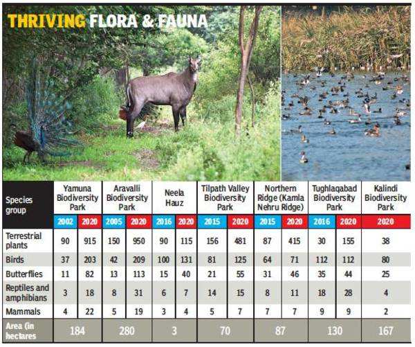 essay on biodiversity of delhi