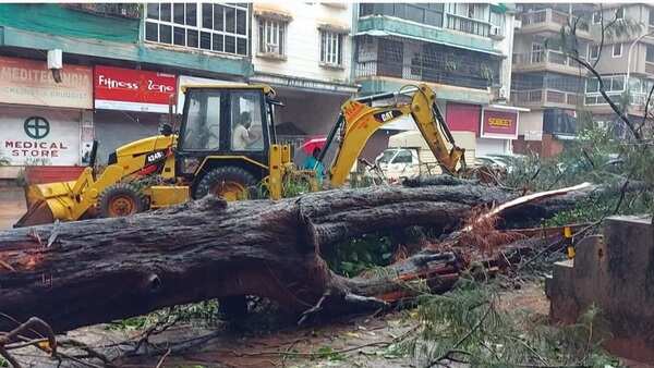 Earthmovers remove fallen trees