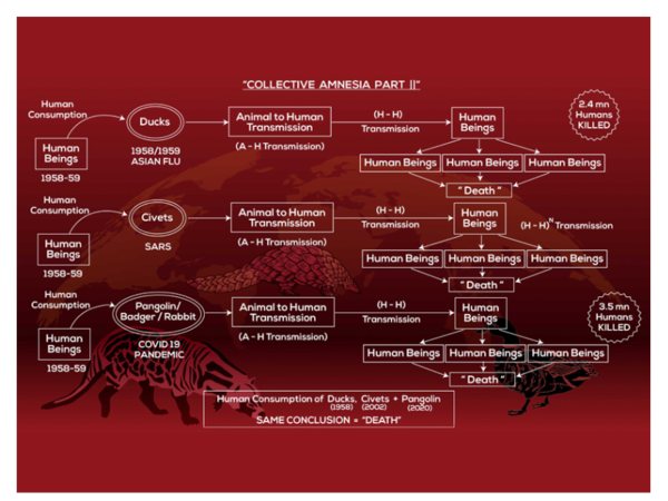 mediawire_image_0